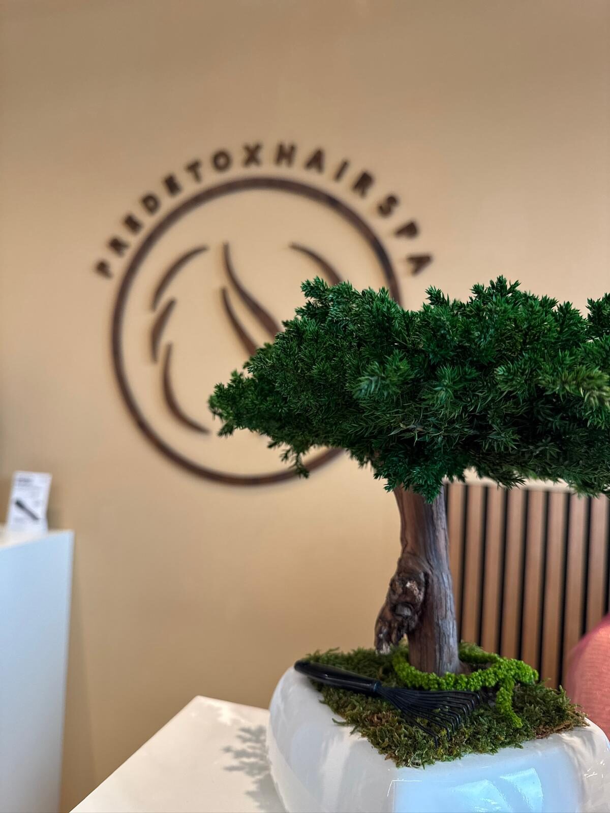 Logo Pre-Detox Hair Spa con bonsai